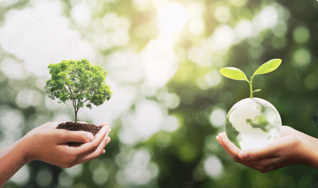 地球も喜ぶ！エコフレンドリーな物流ソリューション大公開